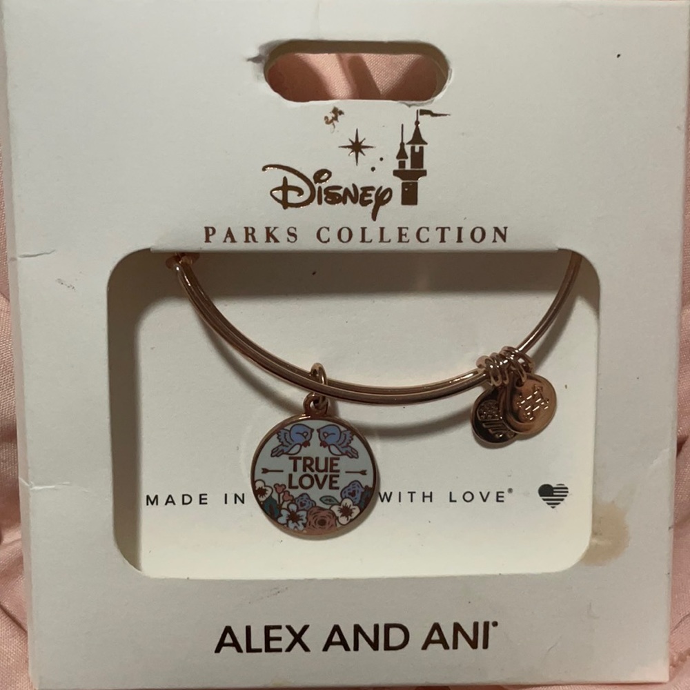 Disney collection Alex and ani